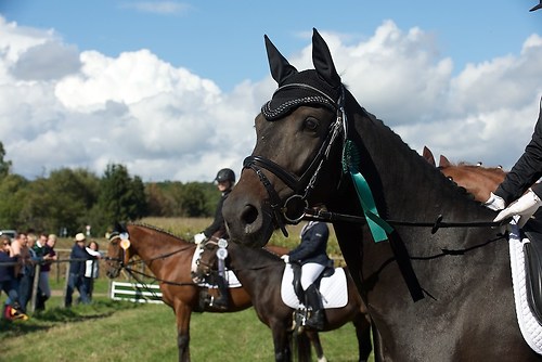 RVMaul_Samstag_201509_MHE6568