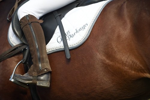 RVMaul_Samstag_201509_MHE6596