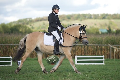 RVMaul_Samstag_201509_MHE6622