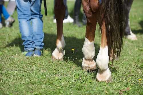 RVMaul_Samstag_201509_MHE6730