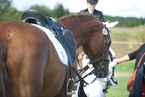 RVMaul_Samstag_201509_MHE6734