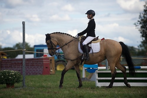 RVMaul_Samstag_201509_MHE6737