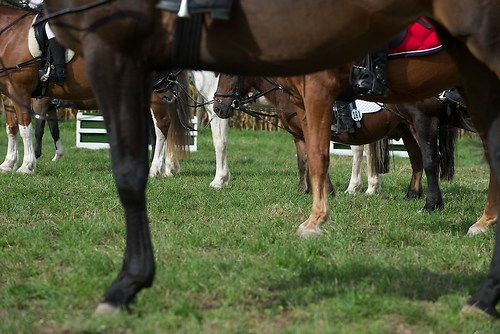 RVMaul_Samstag_201509_MHE6988