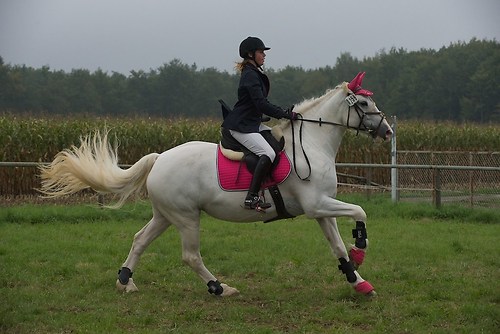 RVMaul_Sonntag_201509_MHE7480