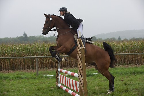 RVMaul_Sonntag_201509_MHE7567