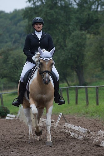 RVMaul_Sonntag_201509_MHE7910