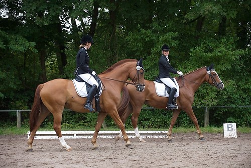 RVMaul_Sonntag_201509_MHE7994