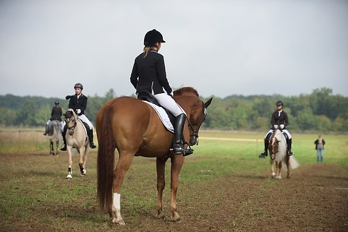 RVMaul_Sonntag_201509_MHE8110