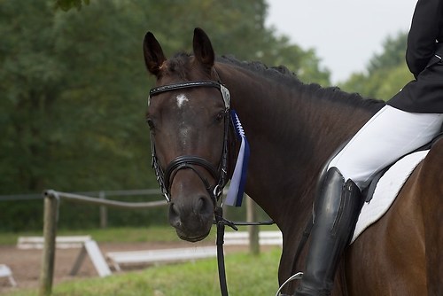 RVMaul_Sonntag_201509_MHE8127