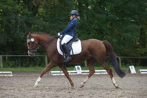 RVMaul_Sonntag_201509_MHE8144