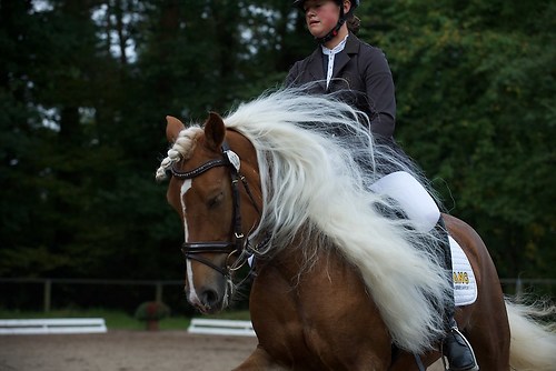 RVMaul_Sonntag_201509_MHE8330