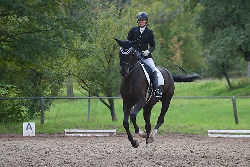 RVMaul_Sonntag_201509_MHE8616