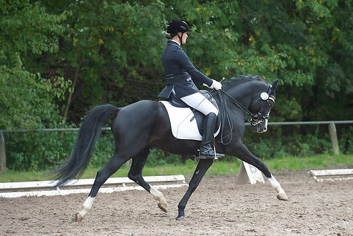 RVMaul_Sonntag_201509_MHE8762