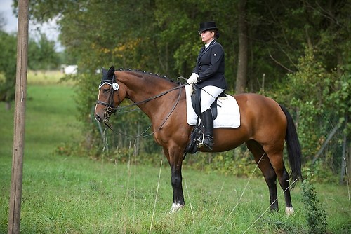 RVMaul_Sonntag_201509_MHE8946