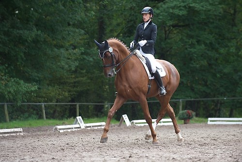 RVMaul_Sonntag_201509_MHE8964