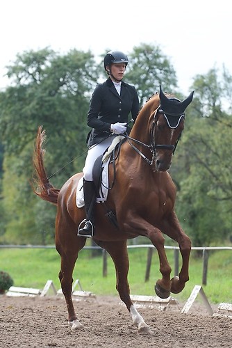 RVMaul_Sonntag_201509_MHE8995