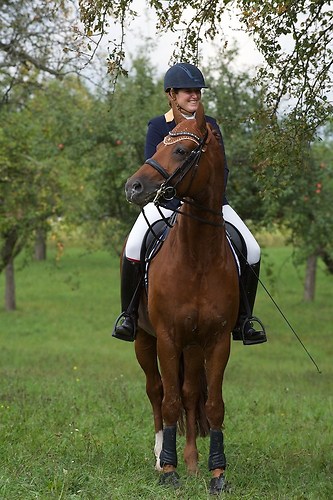 RVMaul_Sonntag_201509_MHE9071