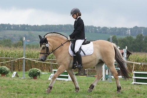 RVMaul_Sonntag_201509DSC_2656