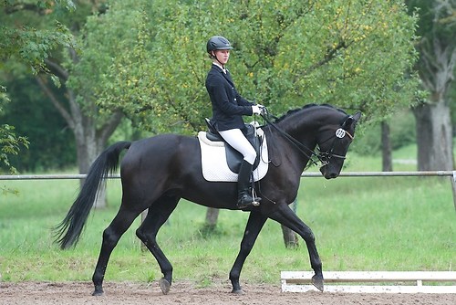 RVMaul_Sonntag_201509DSC_2971