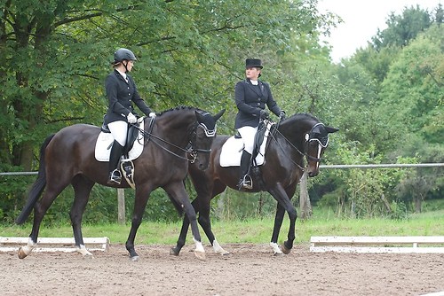 RVMaul_Sonntag_201509DSC_3071