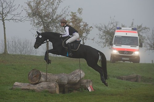 RVNuss_201510_MHE1385