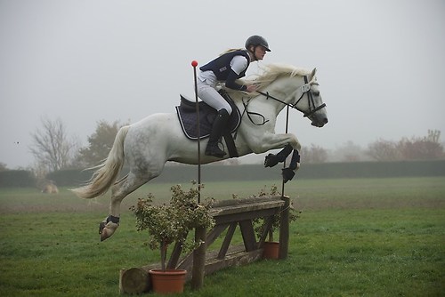 RVNuss_201510_MHE1447