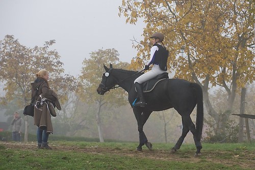 RVNuss_201510_MHE1412