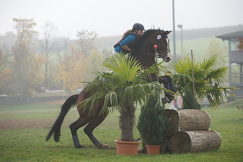 RVNuss_201510_MHE1642