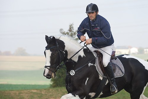 RVNuss_201510_MHE1812