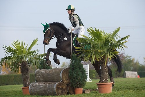 RVNuss_201510_MHE1855