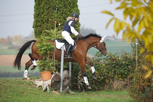 RVNuss_201510_MHE2131