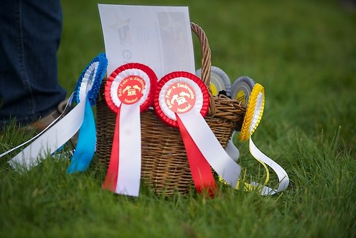 RVNuss_201510_MHE2241