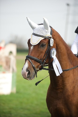 RVNuss_201510_MHE2257