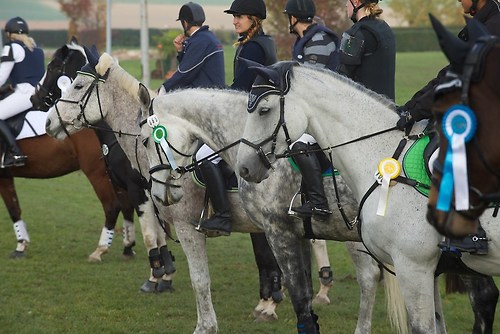 RVNuss_201510_MHE2315