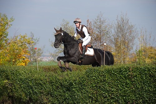 RVNuss_201510_MHE2360