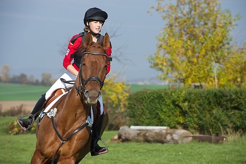 RVNuss_201510_MHE2388