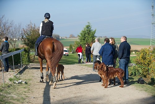 RVNuss_201510_MHE2648