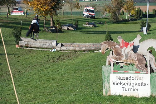 RVNuss_201510_MHE2709