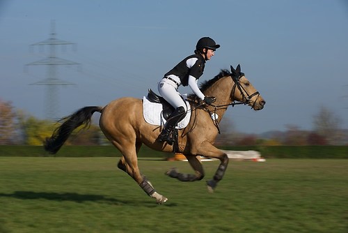 RVNuss_201510_MHE2836