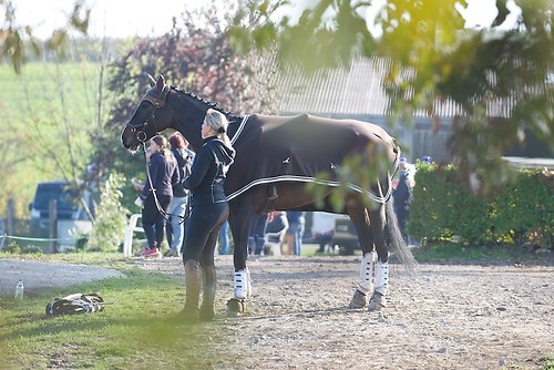 RVNuss_201510_MHE2880