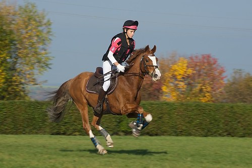 RVNuss_201510_MHE2950