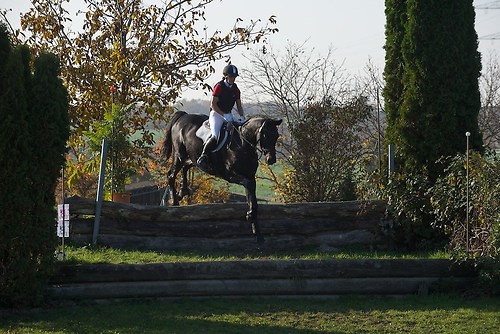 RVNuss_201510_MHE3126