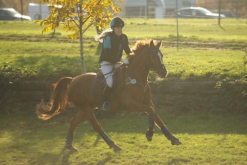 RVNuss_201510_MHE3248