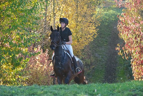 RVNuss_201510_MHE3457