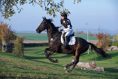 RVNuss_201510_MHE3507