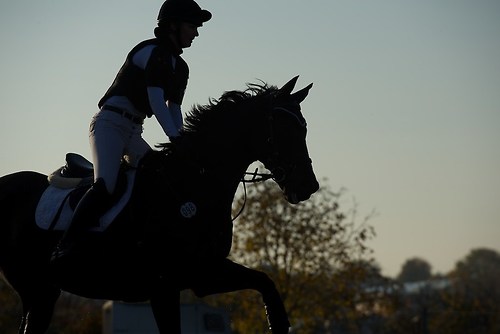 RVNuss_201510_MHE3512