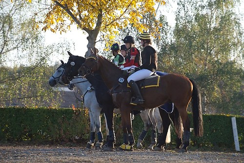 RVNuss_201510_MHE3521