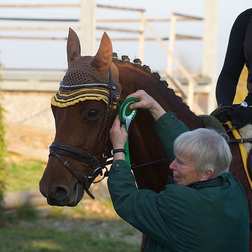 RVNuss_201510_MHE3560