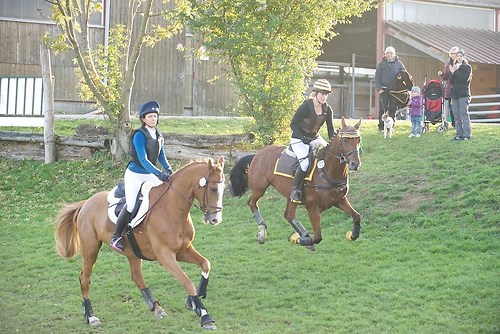 RVNuss_201510_MHE3577