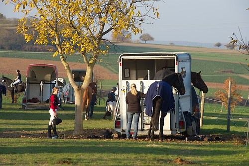 RVNuss_201510_MHE3586